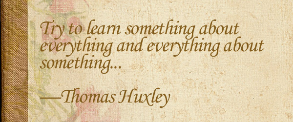 Try to learn something about everything and everything about something.